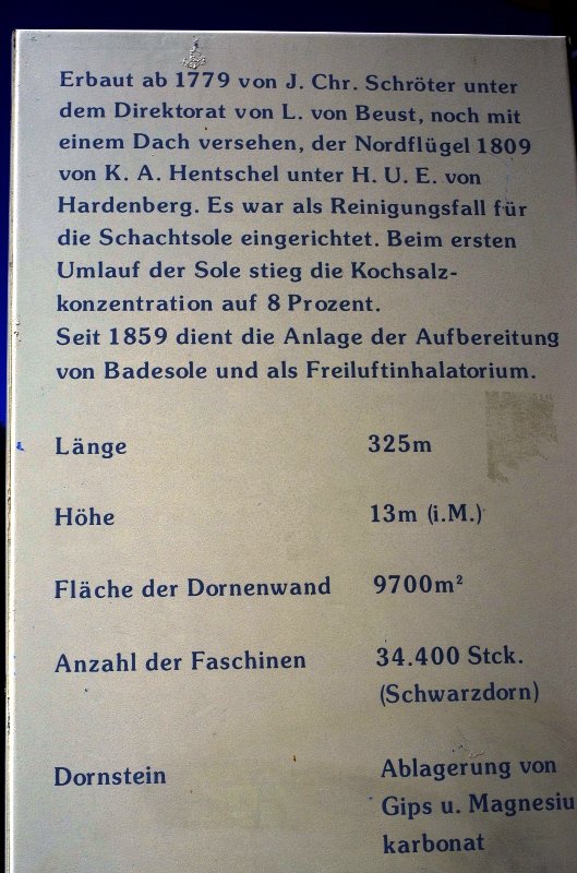 IMGP1847.JPG