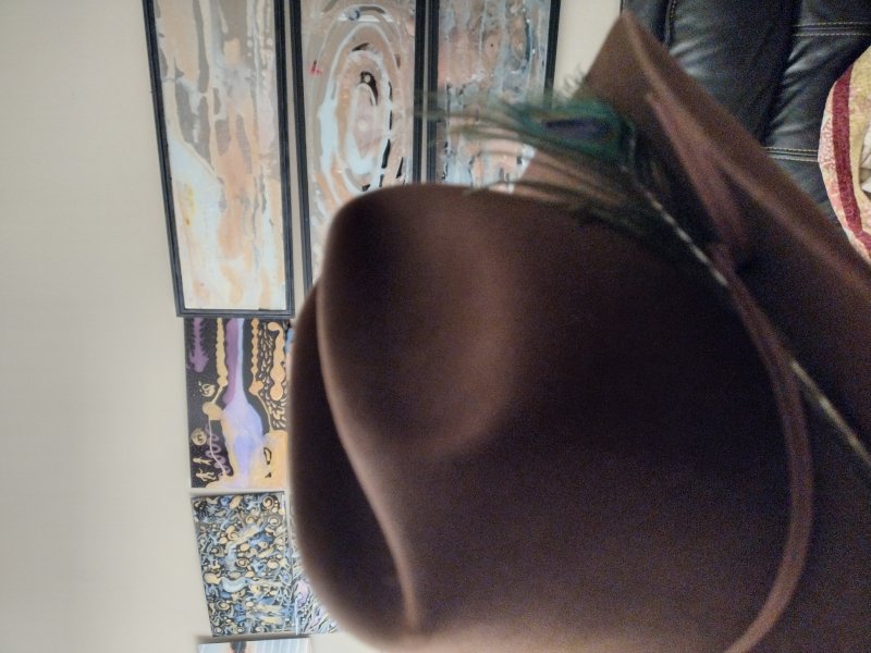 IMG_20260825_191816099_HDR.jpg