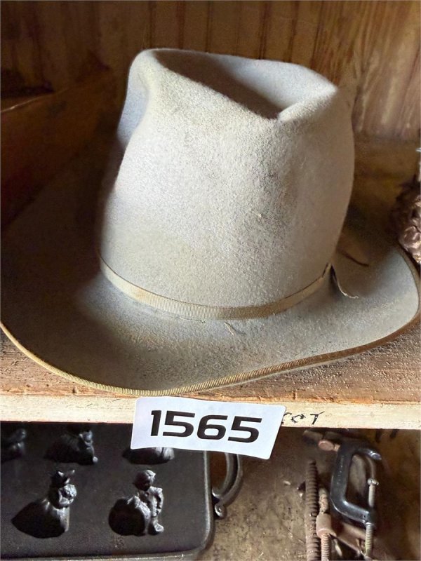 auction.jpg