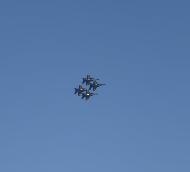 IMG_2234.jpeg