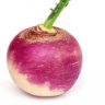 Turnip