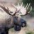 Anonmoose